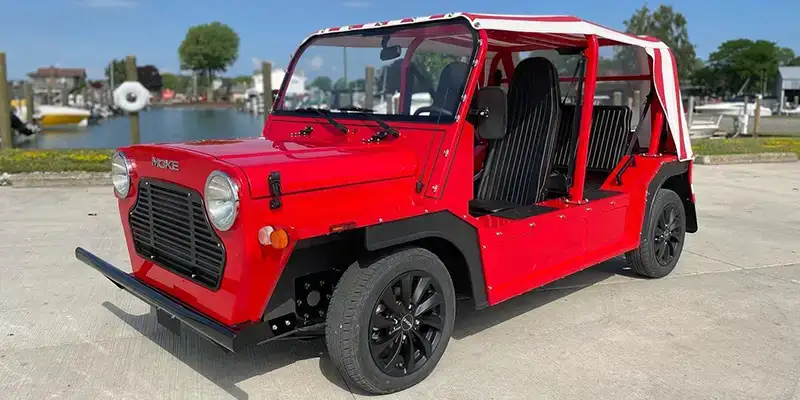 Available for Christmas Delivery